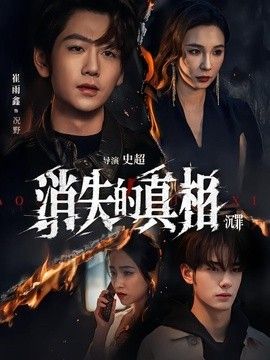 消失的真相·沉罪 高清封面