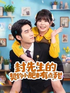 封先生的契约小肥妻有点甜 封面