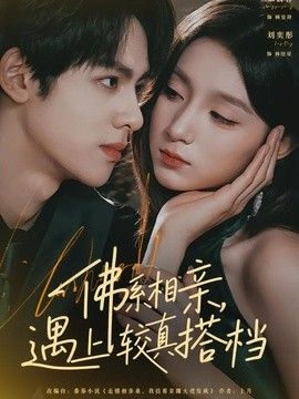 佛系相亲，遇上较真搭档 封面