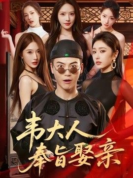 韦大人奉旨娶亲 封面