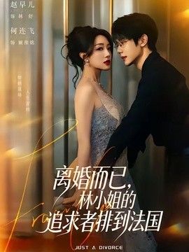 离婚而已，林小姐的追求者排到法国 封面