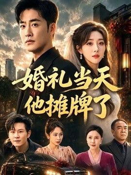 婚礼当天他摊牌了 封面
