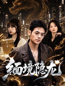 缅境隐龙 封面