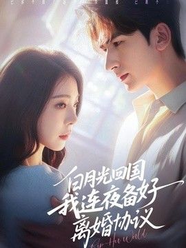 白月光回国我连夜备好离婚协议 封面