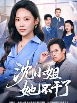 沈小姐她不干了 封面