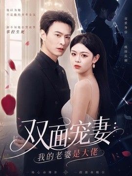 双面宠妻：我的老婆是大佬 封面