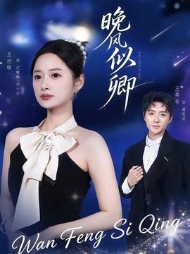 晚风似卿 封面