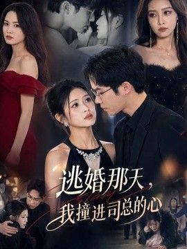 逃婚那天，我撞进司总的心 封面