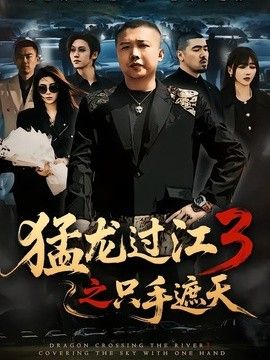 猛龙过江3之只手遮天 封面