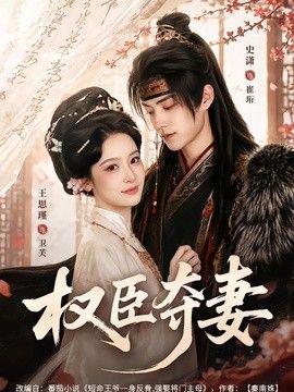 权臣夺妻 封面