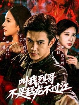 叫我烈哥，不是猛龙不过江 封面
