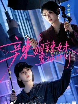 辣姐辣妹置换计划 封面