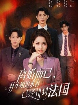 离婚而已，林小姐追求者已经排到法国 封面
