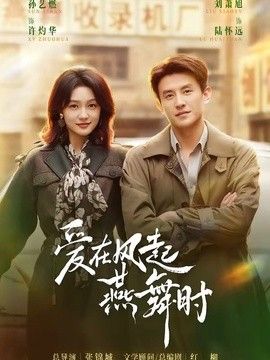 爱在风起燕舞时 封面