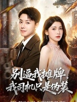别逼我摊牌，我司机只是伪装 封面