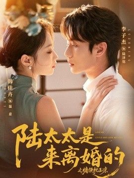 陆太太是来离婚的之慵便枕玉凉 封面