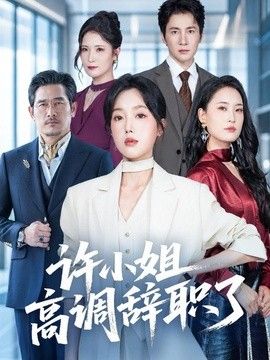 许小姐 高调辞职了 封面