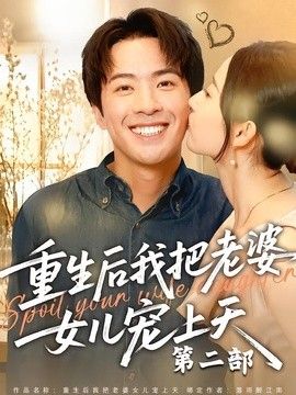 重生后我把老婆女儿宠上天第二部 封面
