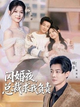 闪婚夜，总裁求我负责 封面