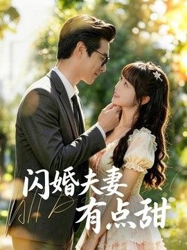 闪婚夫妻有点甜 封面