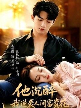 他沉醉，我逆袭人间富贵花 封面