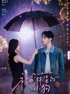 被雨淋湿的小狗 封面