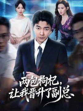 两包枸杞，让我晋升了副总 封面
