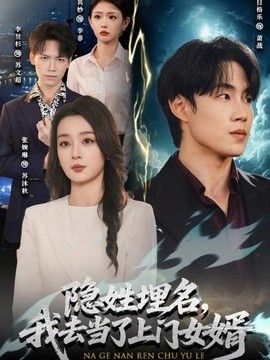 隐姓埋名，我去当了上门女婿 封面