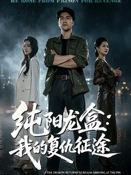 纯阳龙盒：我的复仇征途 封面