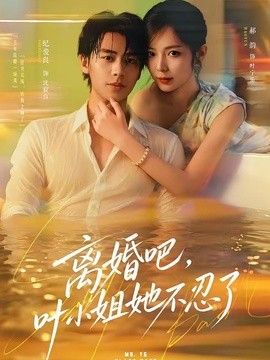 离婚吧，叶小姐她不忍了 封面