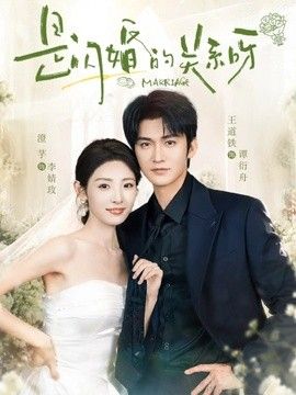 是闪婚的关系呀 封面