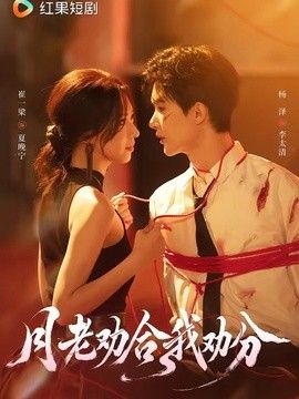 月老劝合我劝分 封面