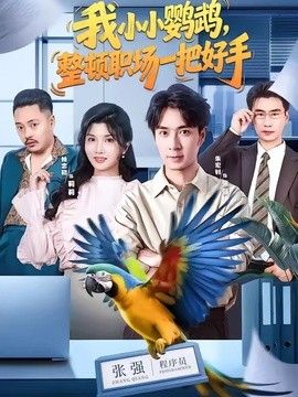 我小小鹦鹉，整顿职场一把好手 封面
