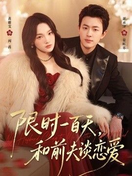 限时一百天，和前夫谈恋爱 封面